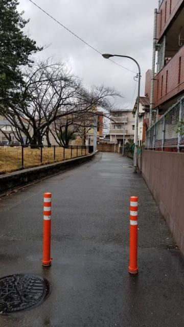 マンション裏公園側