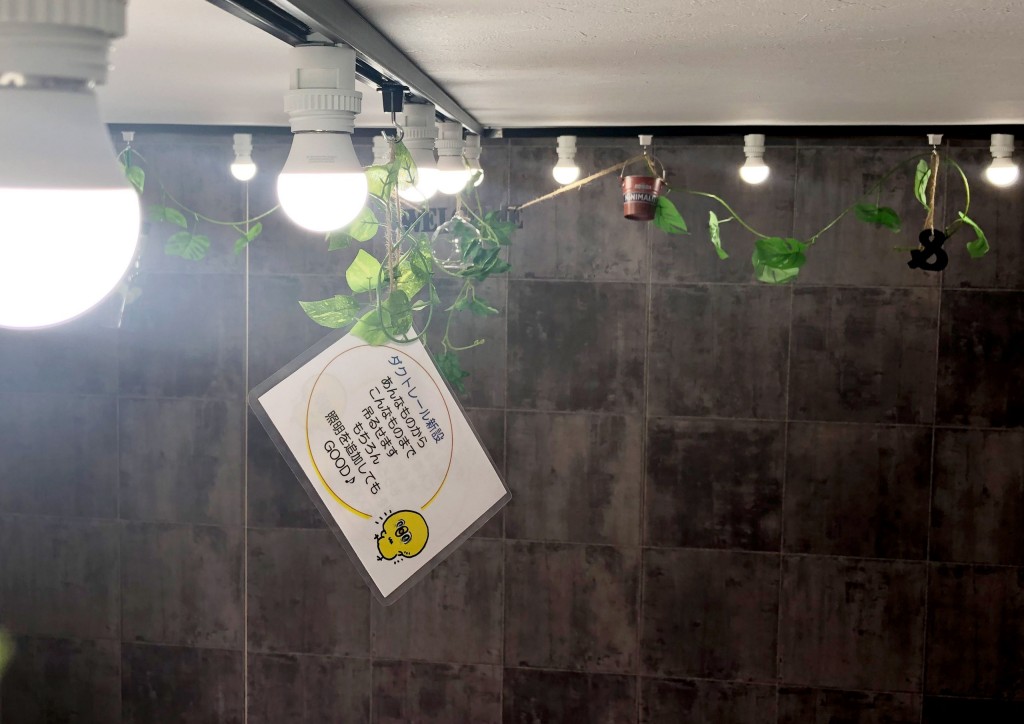 【洋室】照明を設置して植物を吊るして楽しめるライティングレール。
