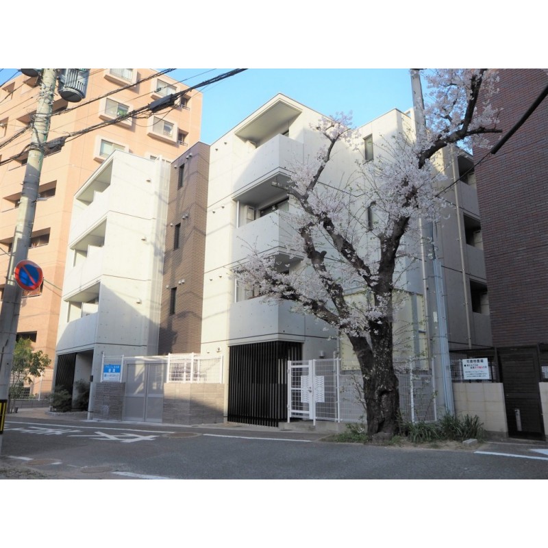 スタッフおすすめ新着物件