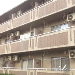 ピックアップ物件