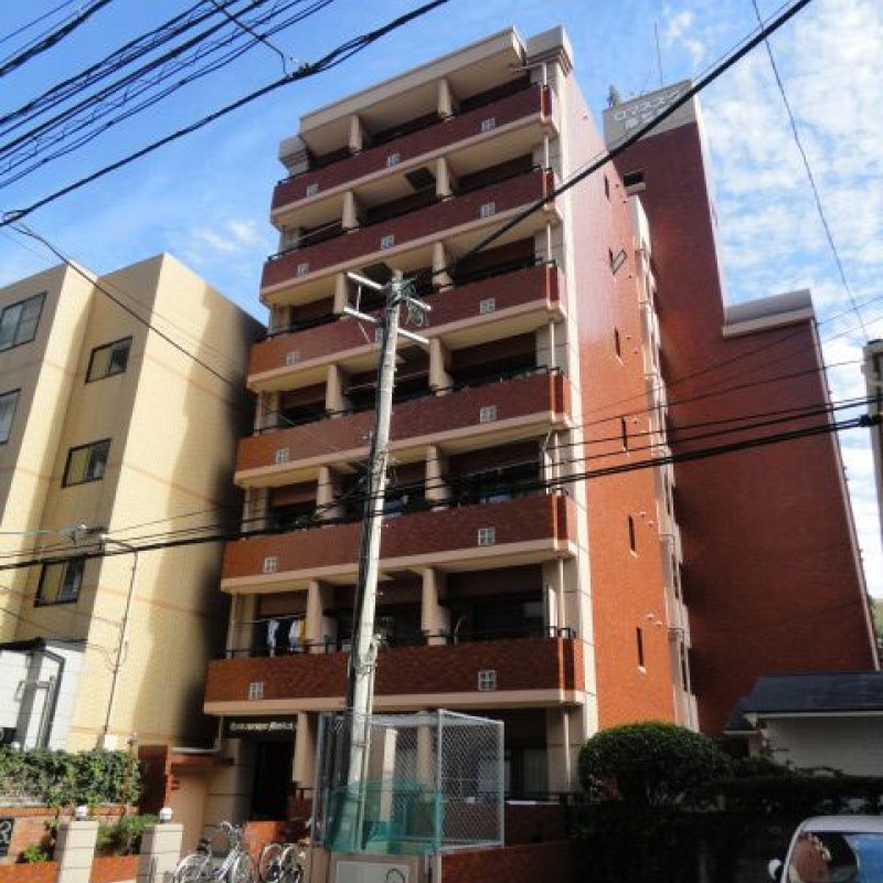 スタッフおすすめ新着物件