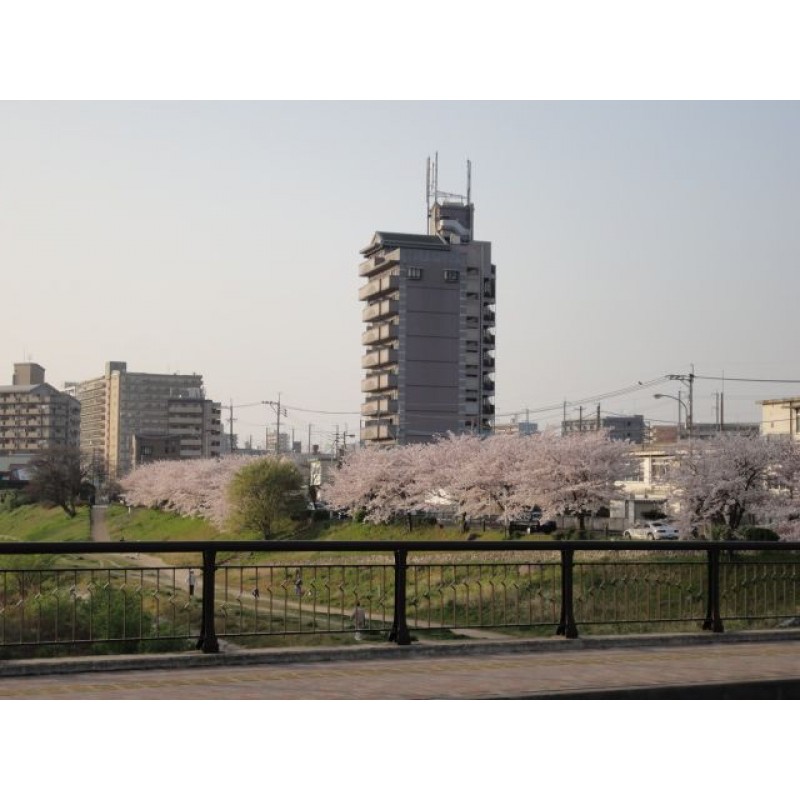 スタッフおすすめ新着物件