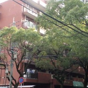 ピックアップ物件