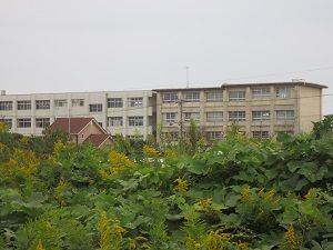 中学校