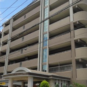 スタッフおすすめ新着物件