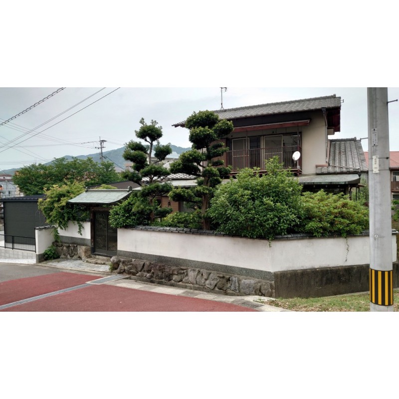 ペット可物件