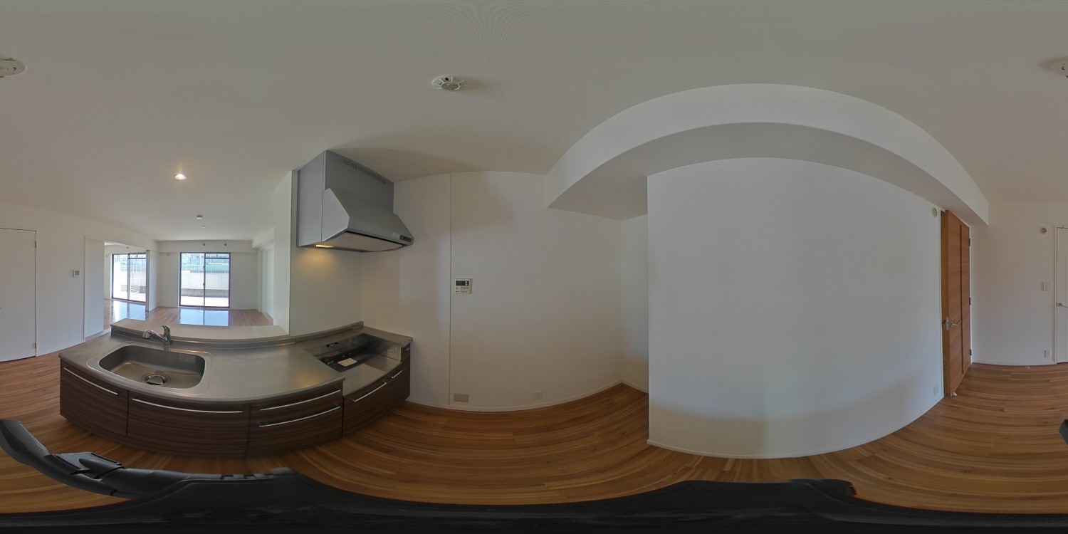 ※102号室のパノラマ写真です