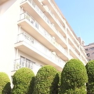 ２LDK以上物件