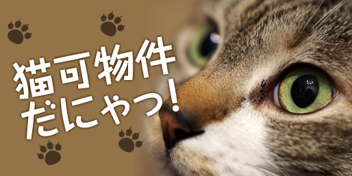 猫可物件だにゃっ！